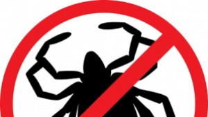 Паркове и площадки са вече обработени против кърлежи