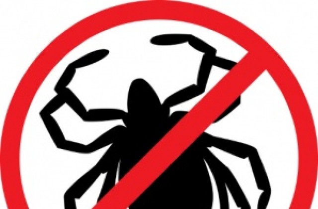 Паркове и площадки са вече обработени против кърлежи