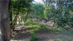 Спецкомисия огледа археологическия комплекс край Шкорпиловци