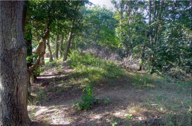 Спецкомисия  огледа археологическия комплекс край Шкорпиловци