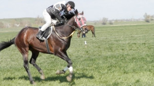 Арбанаси домакинства Държавно първенство по всестранна езда