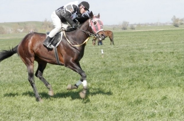 Арбанаси домакинства Държавно първенство по всестранна езда