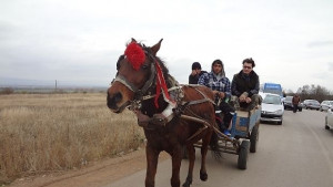 Автобус блъсна каруца