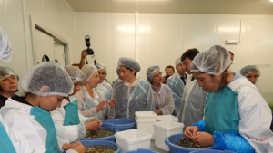 Новата ОП Рибарство ще бъде одобрена до края на годината