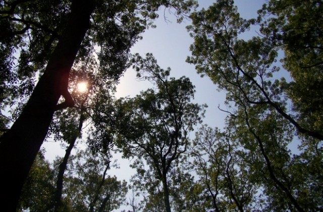 С поход граждани бранят горите край „Аспарухово”