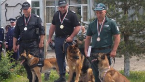 Полицаи демонстрираха уменията си на водачи на кучетаи