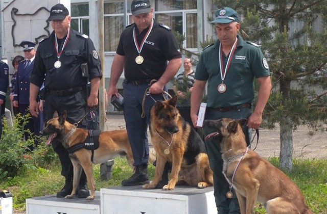 Полицаи демонстрираха уменията си на водачи на кучетаи