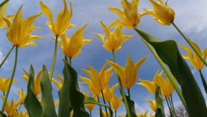 Предимно слънчево