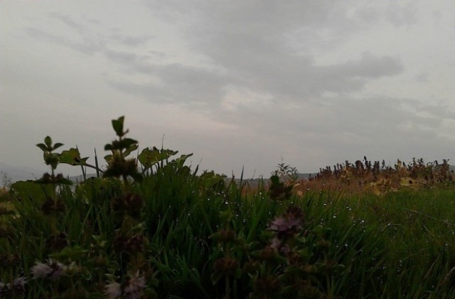 Облачно с валежи от дъжд