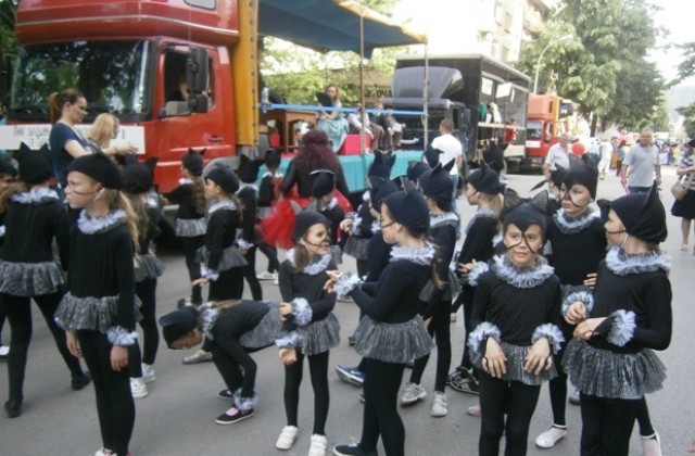 Мъжка или женска е котката на Карнавала?