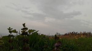 Облачно валежи от дъжд в Южна и Източна България