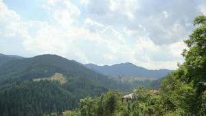 Дискутират въздействието на скалното катерене върху дивата природа