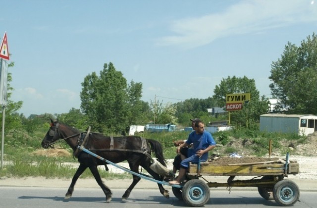Каруца уцели няколко коли