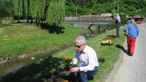 Засаждат летните цветя в парковете на Трявна