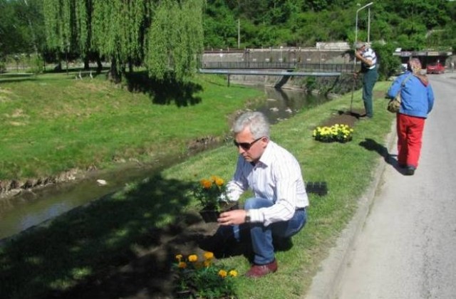 Засаждат летните цветя в парковете на Трявна