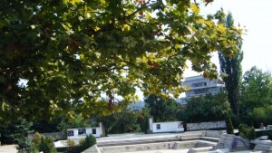 Клиника на открито отваря врати в парк Марно поле