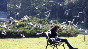 Всеки пети младеж нито учи нито работи икономиката губи 2