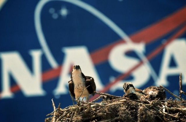 Какви са плановете на НАСА за следващото десетилетие?