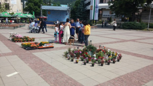 Фестивал на цветята Жива светлина в Дупница