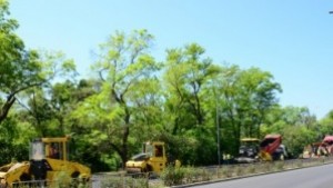 Отварят движението по булевардите Княз Борис I и Мария Луиза