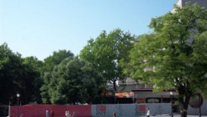 Запазват чинарите на Старата Верея пицария сменя ресторанта