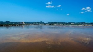 И микроби в океана влияят върху климата