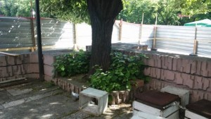 Чакат още разрешителни за строежа на Старата Верея