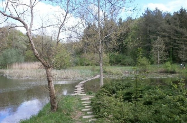 Зарибяват езерото на Текето