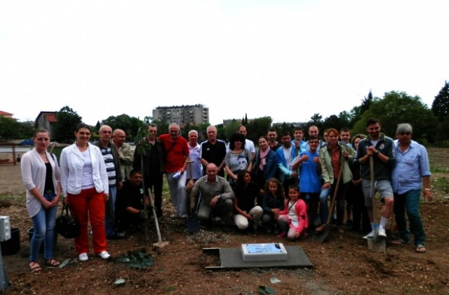 От Граждански клуб „ЛИПА“  засадиха Алея на липите