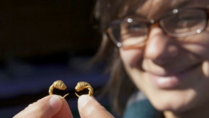 Представят съкровището от Свещари в Лондон но в снимки