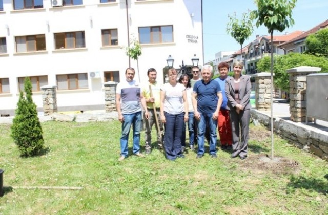Кметът на Трявна участва в засаждането на дръвчета в двора на СОУ „Петко Р. Славейков“