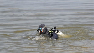 История туризъм всичко за скрап