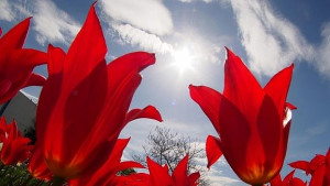 Чака ни хубаво време през уикенда