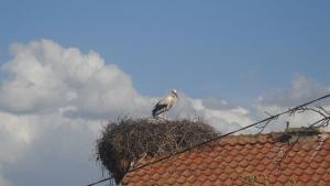 Чака ни хубаво време през уикенда