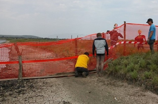 Доброволци помагат на гнезденето в Атанасовското езеро