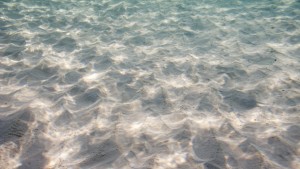 Потънал византийски кораб лежи на дъното на Черно море край