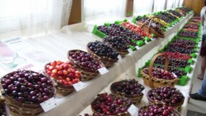 Димитър Домозетов Около 6 000 7 000 тона ще бъде