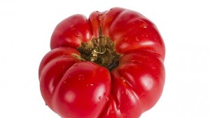 От какво зависи размерът на доматите