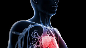 Разработиха имплант който може да замести донорското сърце