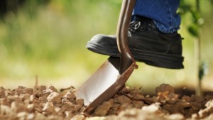 Ползите от пробацията или как прегрешилите се поправят с копаeнето