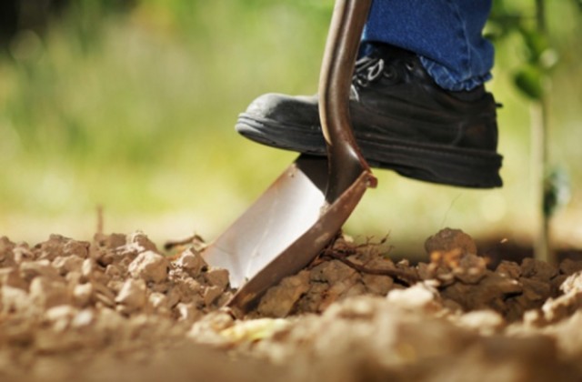 Ползите от пробацията или как прегрешилите се поправят с копаeнето на градинки