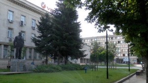 Паркстрой ще поддържа озеленената част на площада в Плевен