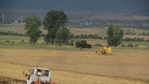 ДПС Санкционират хиляди земеделци заради неадекватно избран срок