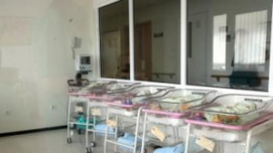 Броят монетите от първия етап на акцията Жълти стотинки