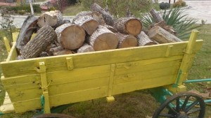 Посегнаха на горски стражари