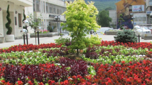 Над 30 000 цветя украсиха Горна Оряховица
