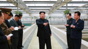 Северна Корея модернизира космодрума си