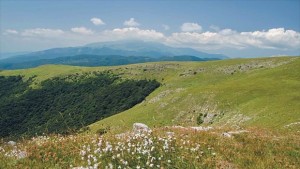 Инициативата Кулинарните тайни на Природата дари агнета на български фермери