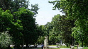 Велико Търново става част от платформата Зеленият град