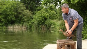 Езерото на Старозагорските бани има нови обитатели